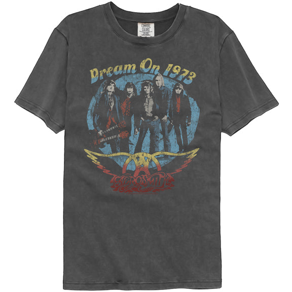 Aerosmith Adult Lightweight Vintage Wash T-Shirt