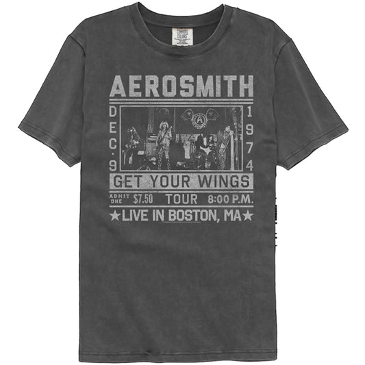 Aerosmith Adult Lightweight Vintage Wash T-Shirt