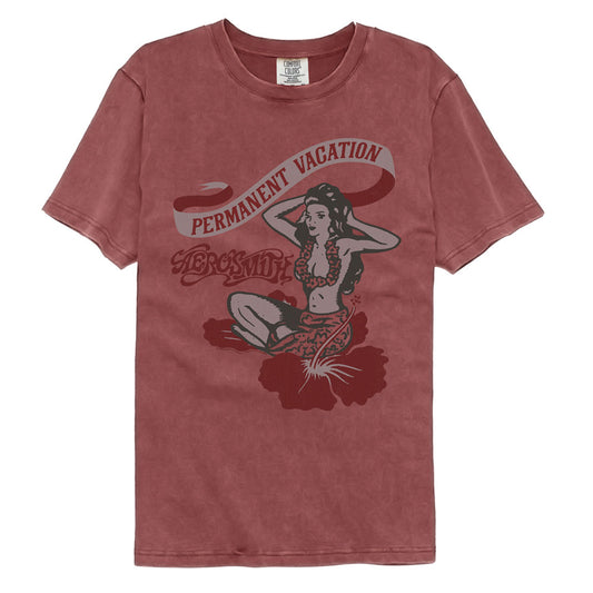 Aerosmith Adult Vintage Washed T-Shirt