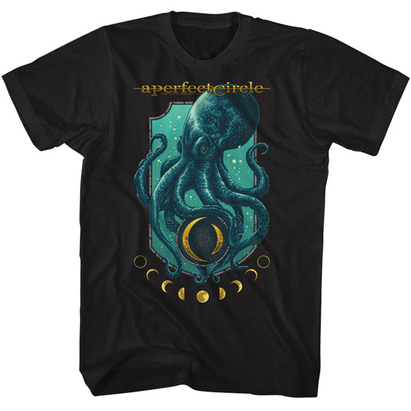 A Perfect Circle Adult Lightweight T-Shirt