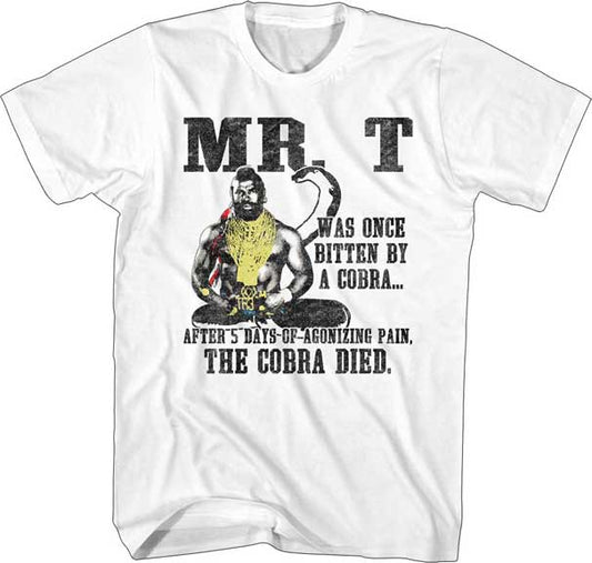 Mr. T Adult Lightweight T-Shirt