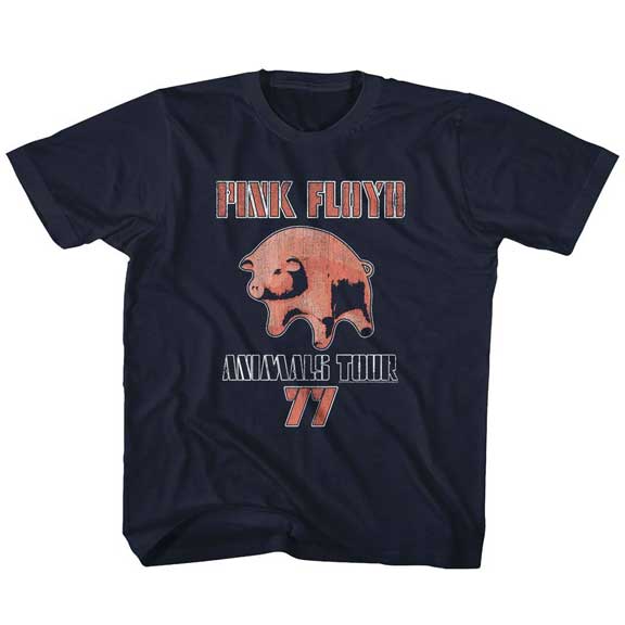 Pink Floyd Youth T-Shirt